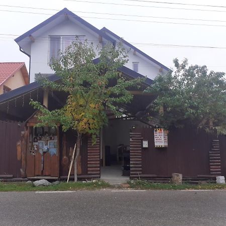 Casa Denisa Vidraru Transfgarasan 호텔 Căpăţîneni-Ungureni 외부 사진