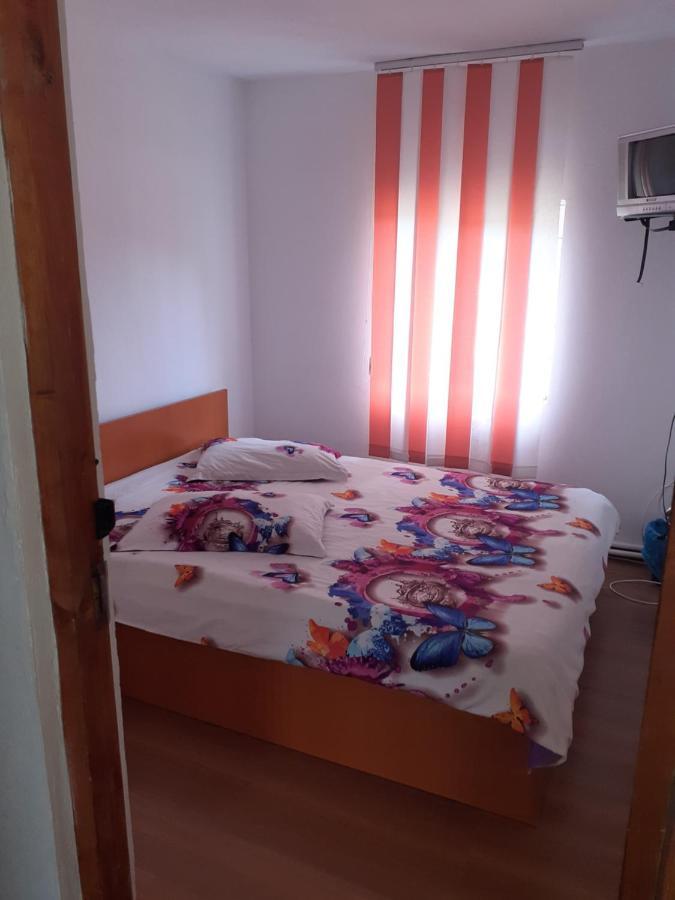 Casa Denisa Vidraru Transfgarasan 호텔 Căpăţîneni-Ungureni 외부 사진