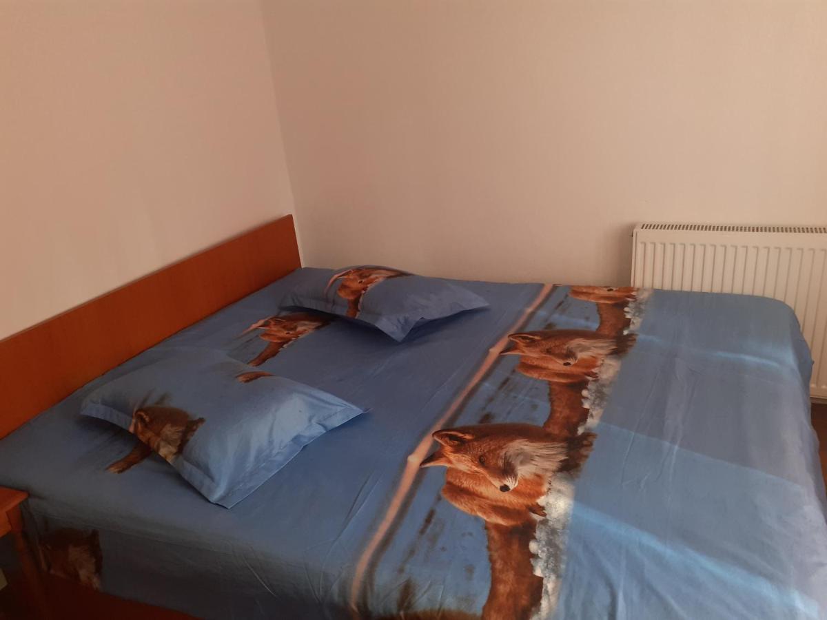 Casa Denisa Vidraru Transfgarasan 호텔 Căpăţîneni-Ungureni 외부 사진