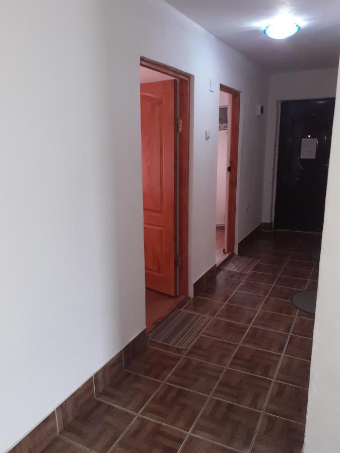 Casa Denisa Vidraru Transfgarasan 호텔 Căpăţîneni-Ungureni 외부 사진