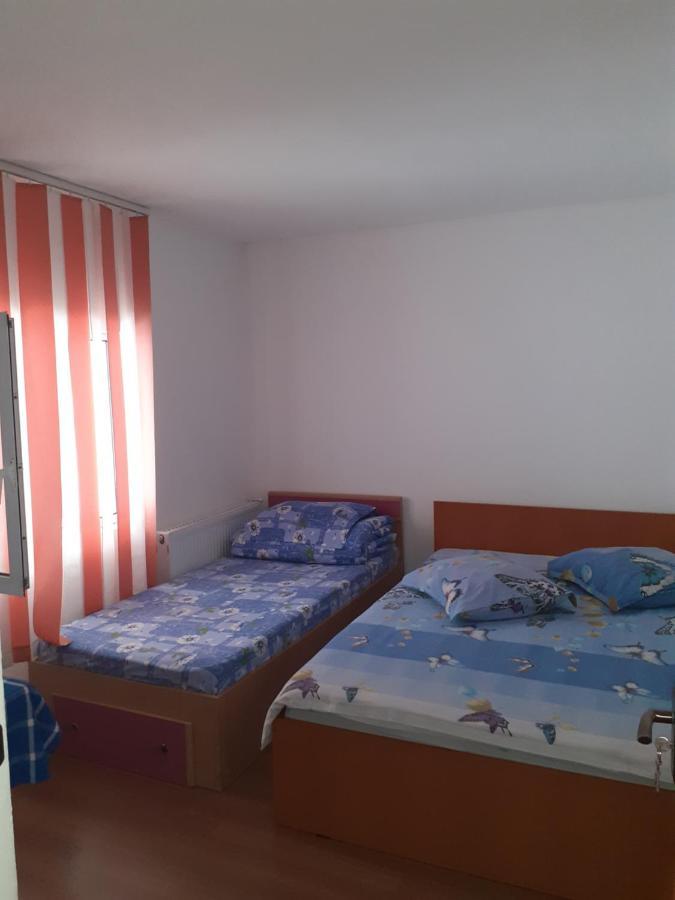 Casa Denisa Vidraru Transfgarasan 호텔 Căpăţîneni-Ungureni 외부 사진
