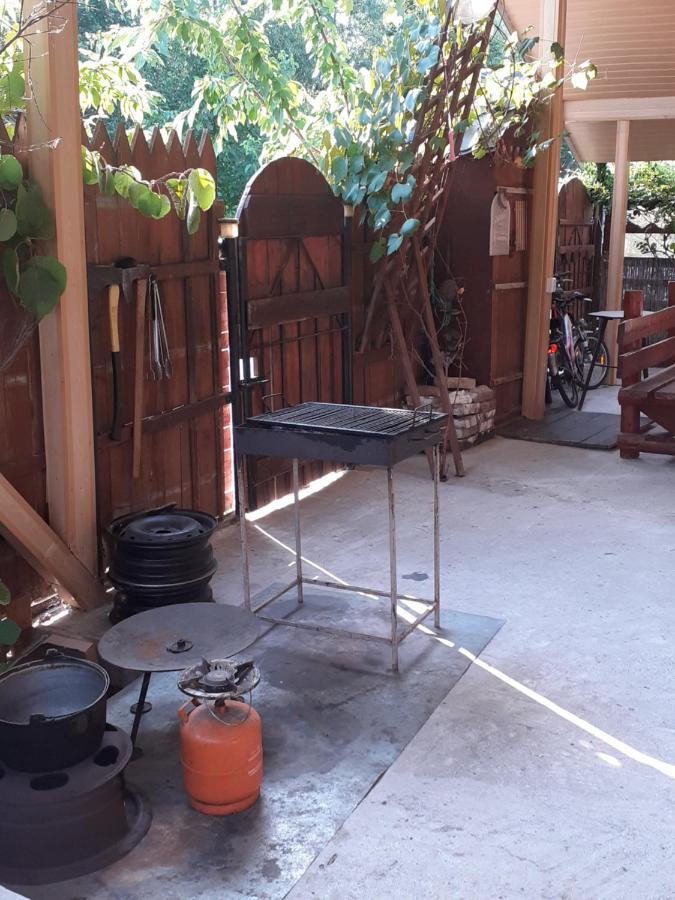 Casa Denisa Vidraru Transfgarasan 호텔 Căpăţîneni-Ungureni 외부 사진