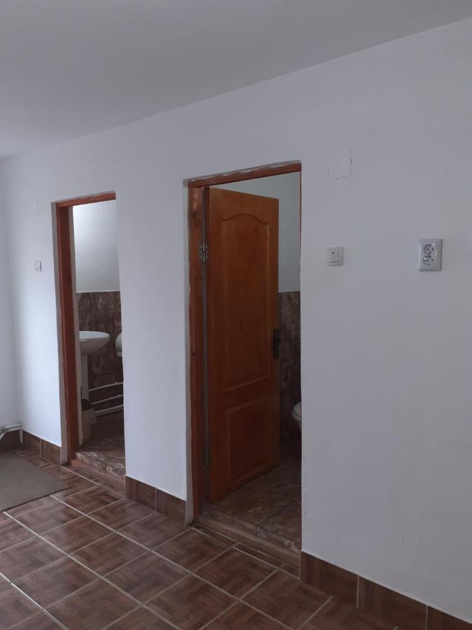 Casa Denisa Vidraru Transfgarasan 호텔 Căpăţîneni-Ungureni 외부 사진
