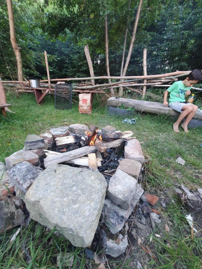 Casa Denisa Vidraru Transfgarasan 호텔 Căpăţîneni-Ungureni 외부 사진