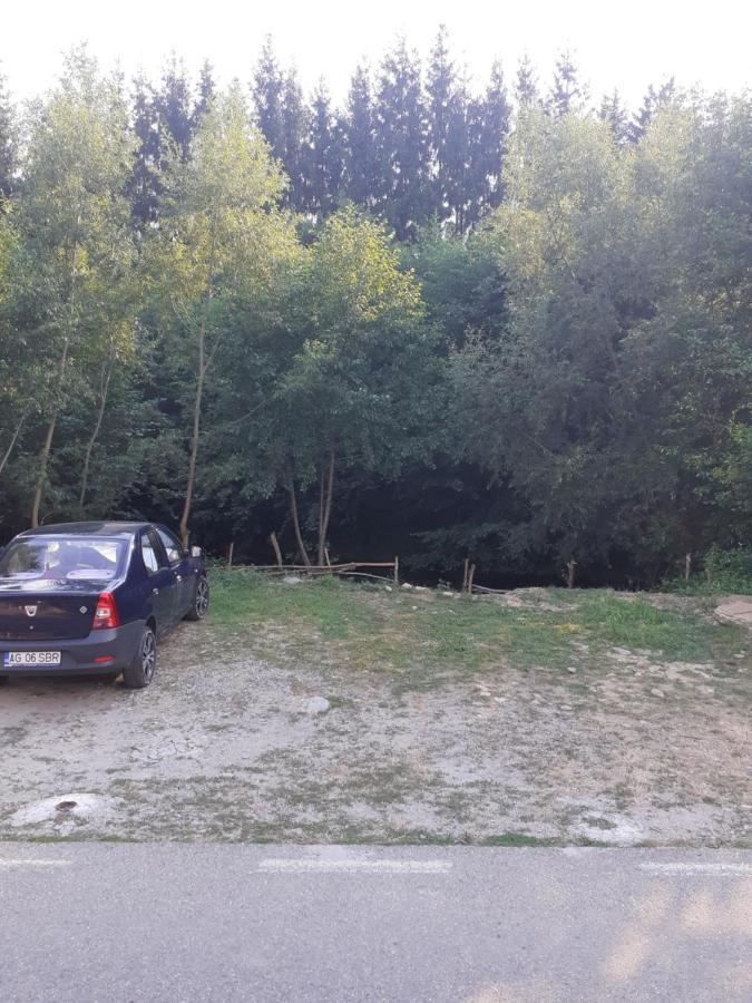 Casa Denisa Vidraru Transfgarasan 호텔 Căpăţîneni-Ungureni 외부 사진