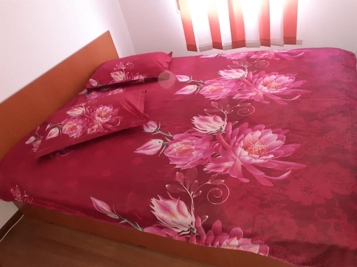 Casa Denisa Vidraru Transfgarasan 호텔 Căpăţîneni-Ungureni 외부 사진