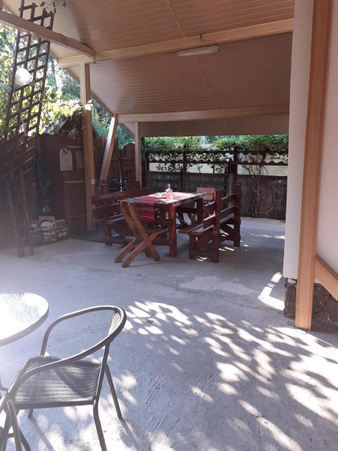 Casa Denisa Vidraru Transfgarasan 호텔 Căpăţîneni-Ungureni 외부 사진