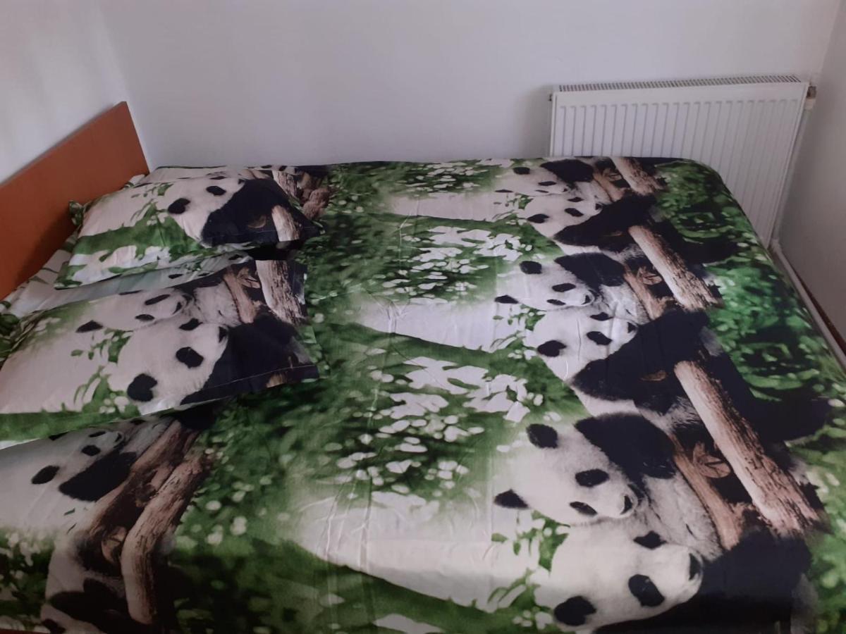 Casa Denisa Vidraru Transfgarasan 호텔 Căpăţîneni-Ungureni 외부 사진