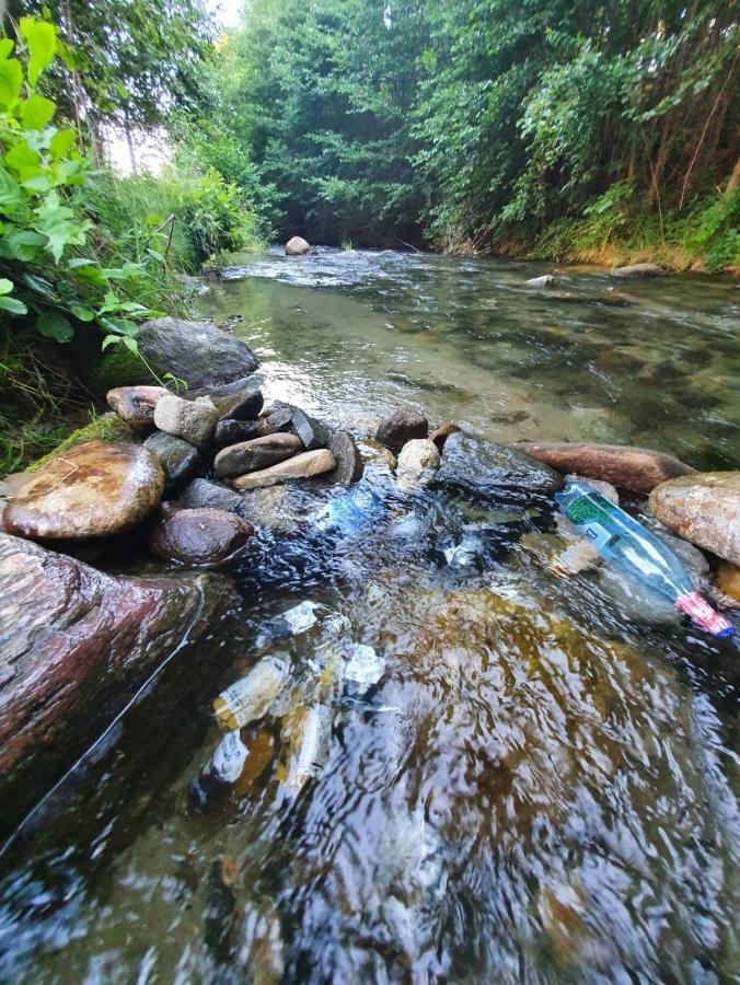 Casa Denisa Vidraru Transfgarasan 호텔 Căpăţîneni-Ungureni 외부 사진