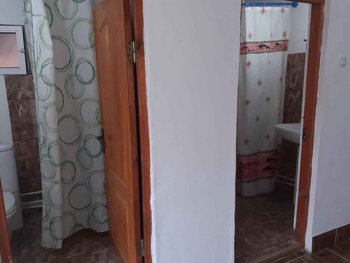 Casa Denisa Vidraru Transfgarasan 호텔 Căpăţîneni-Ungureni 외부 사진