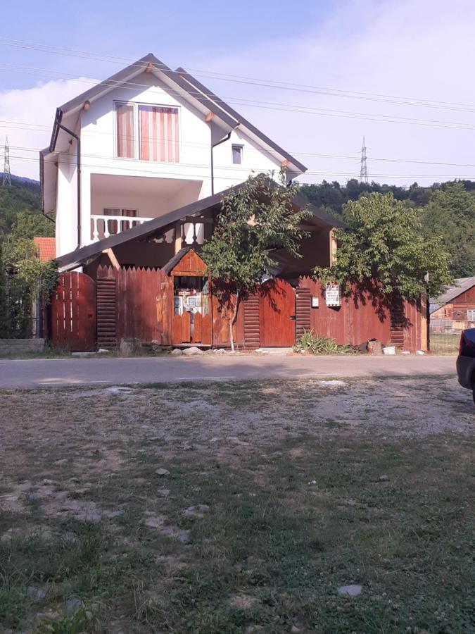 Casa Denisa Vidraru Transfgarasan 호텔 Căpăţîneni-Ungureni 외부 사진