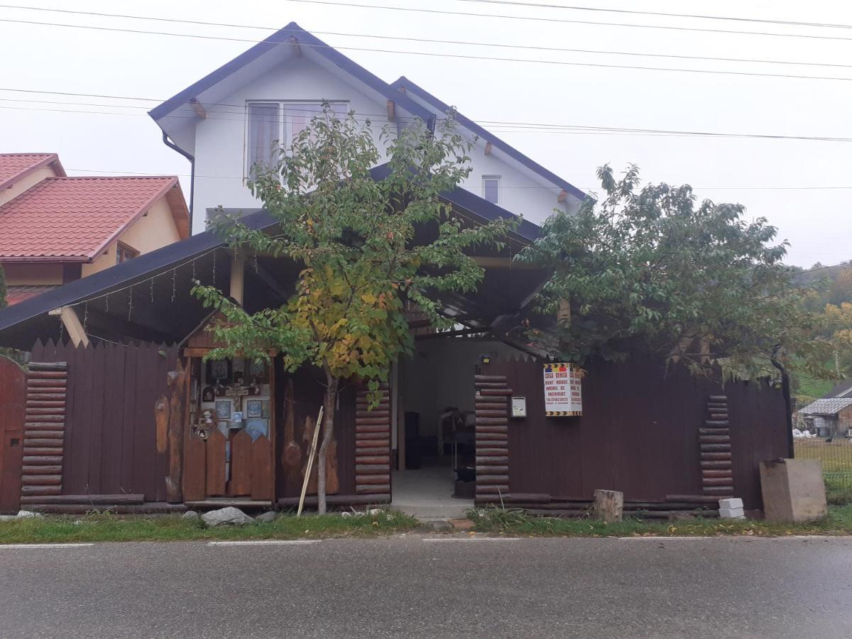 Casa Denisa Vidraru Transfgarasan 호텔 Căpăţîneni-Ungureni 외부 사진