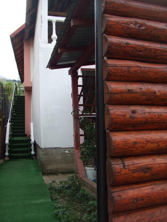 Casa Denisa Vidraru Transfgarasan 호텔 Căpăţîneni-Ungureni 외부 사진